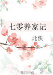 七零养子下乡人物分析